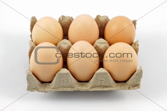 Eggs on a tray