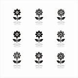 set of 9 flower icons