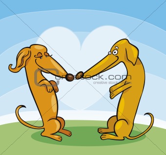 Dachshund Dogs in Love