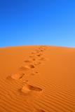 walking on Sahara desert