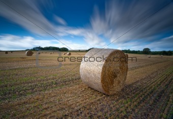 hay rolls