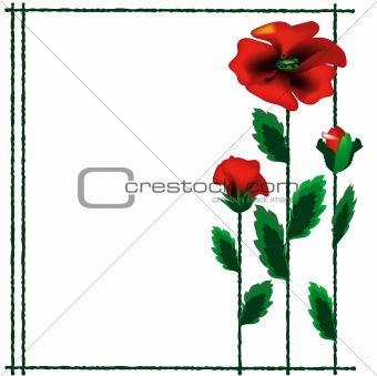 Frame with poppies.