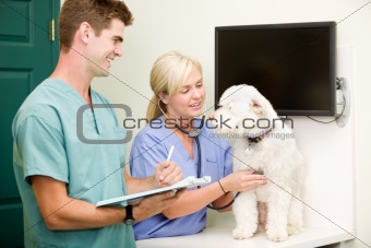 Dog Vet Check-Up