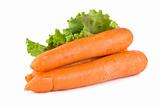 Carrots and lettuce
