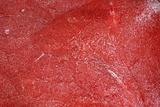 Fresh meat texture red background