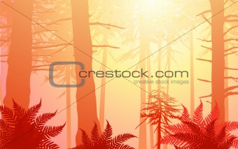 vector enchanted forest in warm colors