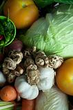 close up shot of vegetables