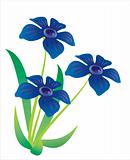 Three blue flowers