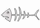 Fish skeleton - fishbones