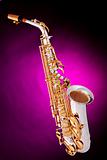Alto Saxophone Isolated On Pink
