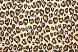 Leopard print textured background