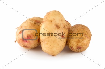 Raw potato isolated on a white