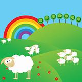 Summer landscape with sheeps and rainbow