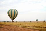Hot air balloon landing over the Serengeti, Tanzania, Africa