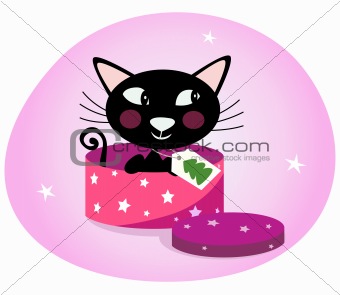 Black Christmas kitten in a pink gift box