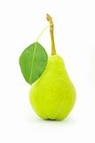  pear 