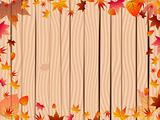 Autumn background over fence