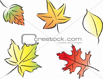 Assorted Fall Leaves