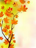 beautiful colors of autumn(29).jpg