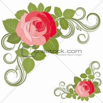 Rose and curls, vector illustration.