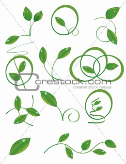A set of green leaves