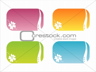 colorful floral frames