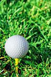 Vertical of golf ball and grass