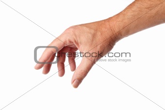 male hand