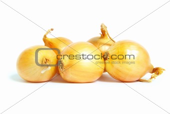  onion 