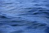 Blue sea surface on rainy day rain falling