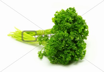 parsley 
