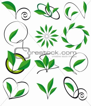 Collection of leaves for design