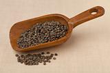 rustic scoop of French green  lentils