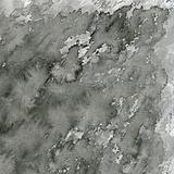 black splashes on white canvas