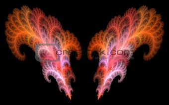 Beautiful fractal image