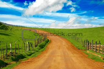 dirt road on meadow