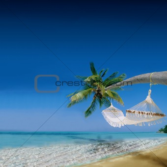 Exotic Post card from Tropical Holiday Destination