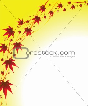 autumn background  leaves