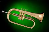Trumpet Isolated on Green