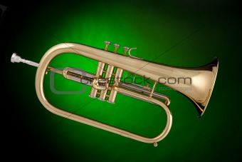Trumpet Isolated on Green