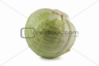 Cabbage on white