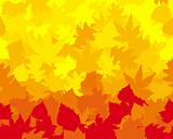 Vibrantly colored autumn leaves, vector wallpaper