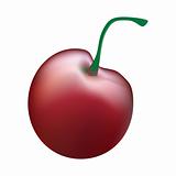 Realistic Vector Cherry. Vector Illustration