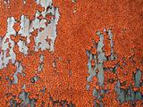 wall rusted texture