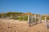 Fences on a sand dune in North Carolina