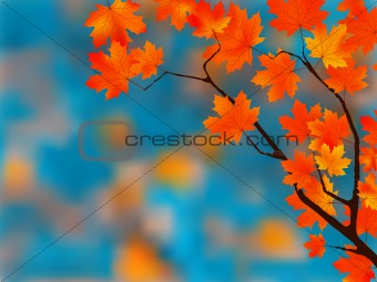 Beautiful Autumn Background.