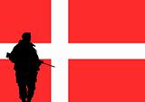 Danish soldier