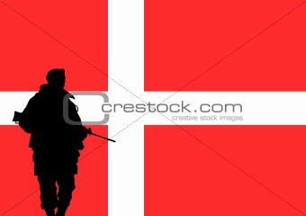 Danish soldier