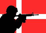 Danish soldier 2