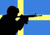 Swedish soldier 2
